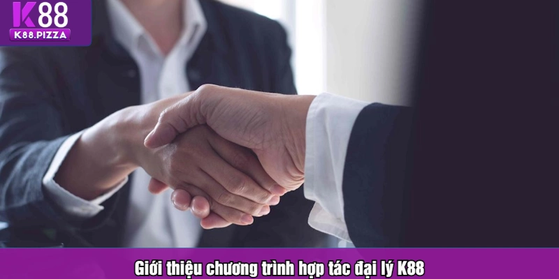 Giới thiệu chương trình hợp tác đại lý K88