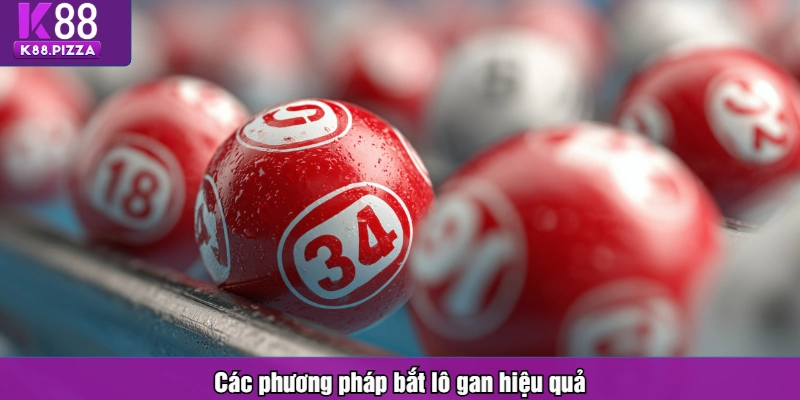 Các phương pháp bắt lô gan hiệu quả